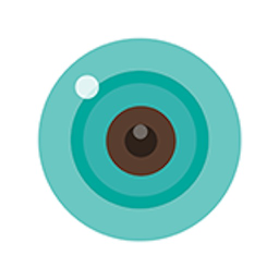 iCSee app icon